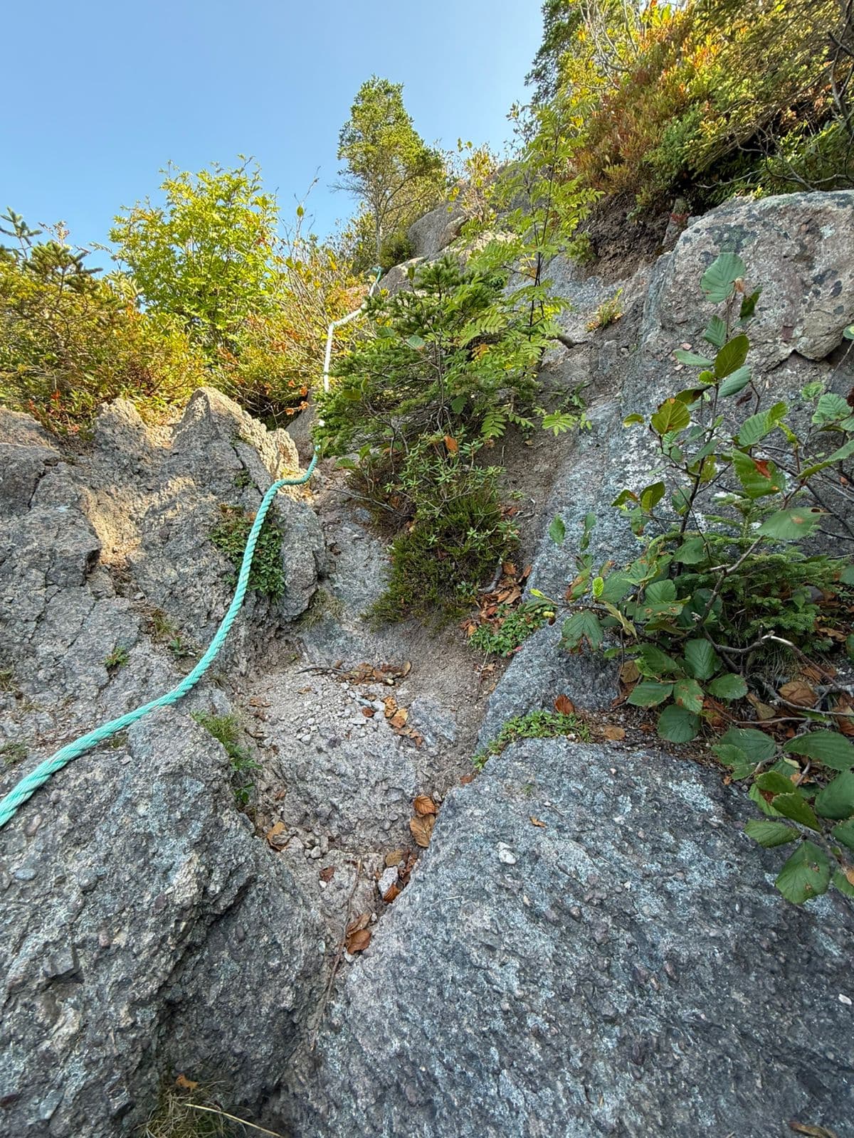 This is a bad idea, anyways